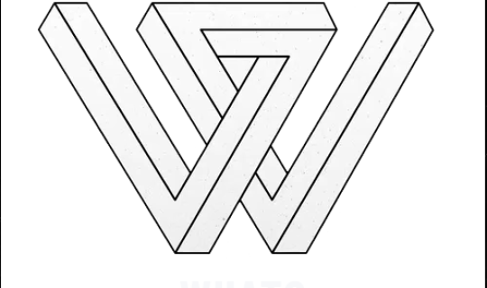 say what logo